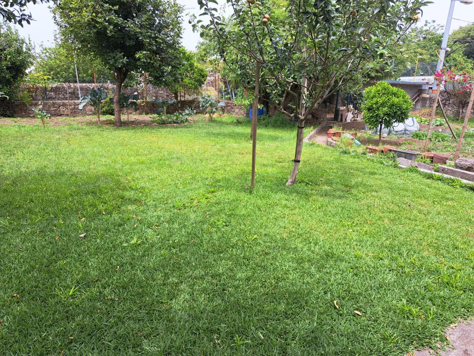 Garden House Ramalde Villa Porto Exterior photo